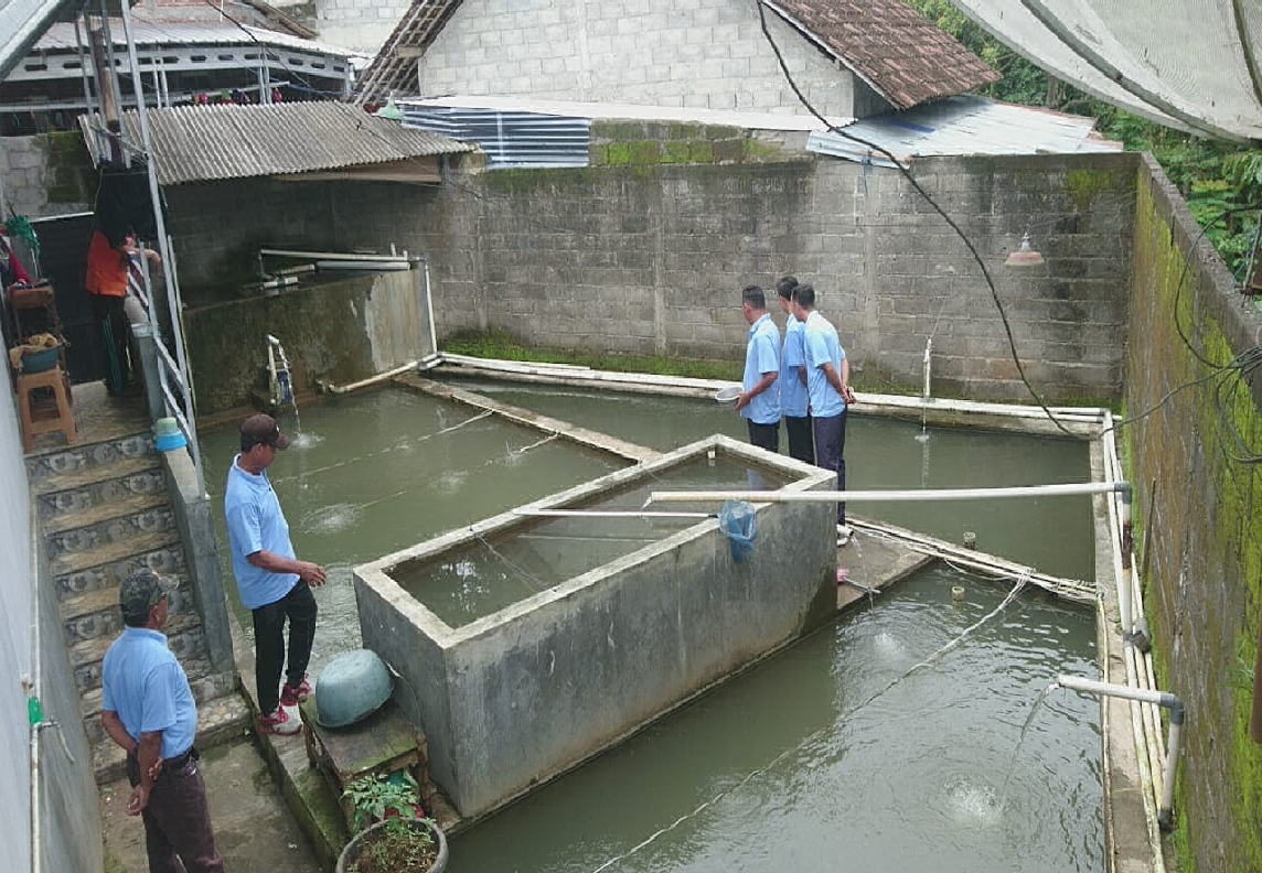 Potensi peternak ikan di Dusun Krajan Desa Tabet
